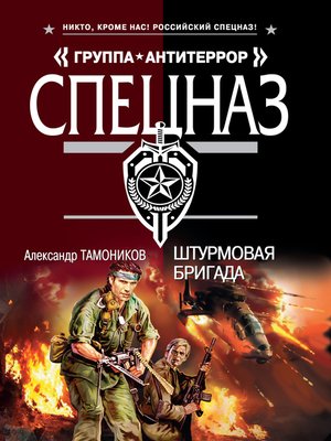 cover image of Штурмовая бригада